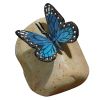 Papilio Ulysses Butterfly On Rock Statue