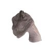 Allosaurus Wall Trophy Mouth Closed