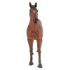 Quarter Horse Filly Statue