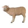 Standing Merino Lamb