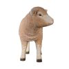 Standing Merino Lamb