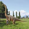 Brachiosaurus Looking Forward