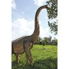 Brachiosaurus Looking Forward