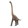 Brachiosaurus Looking Forward