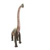 Brachiosaurus Looking Forward