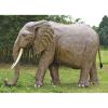 Enormous African Elephant