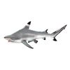 Black Tip Shark Ceiling Mount Trophy