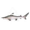 Black Tip Shark Ceiling Mount Trophy