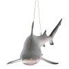 Black Tip Shark Ceiling Mount Trophy