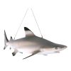 Black Tip Shark Ceiling Mount Trophy