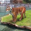 Sumatran Tiger Statue