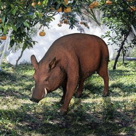 Razorback Wild Boar Statue