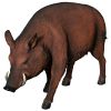 Razorback Wild Boar Statue