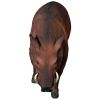 Razorback Wild Boar Statue