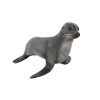 Baby Fur Seal Statue