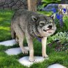 Growling Gray Wolf Statue