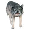 Growling Gray Wolf Statue