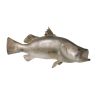 Barramundi Wall Trophy