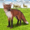 Urie The European Red Fox Statue