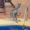 Australian Outback Kangaroo Statue