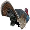 Wild Tom Turkey Statue