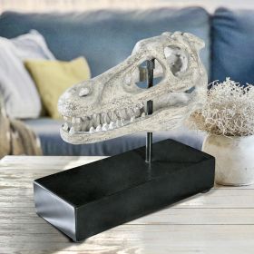 Velociraptor Skull Fossil Statue