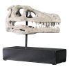 Velociraptor Skull Fossil Statue