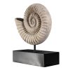 Ammonite Fossil Statue On Mount