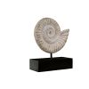 Ammonite Fossil Statue On Mount