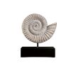 Ammonite Fossil Statue On Mount