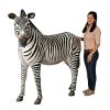 Grand Scale Adult Zebra Statue