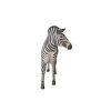 Grand Scale Adult Zebra Statue