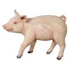 Piglet Porker Baby Hog Statue