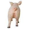 Piglet Porker Baby Hog Statue