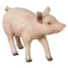 Piglet Porker Baby Hog Statue