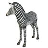 Grand Scale Zebra Foal Statue