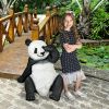 Giant Panda Statue