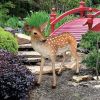 Spotted Deer Fawn Statue