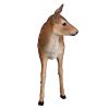 Spotted Deer Fawn Statue