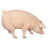 Divine Swine Life Size Farm Pig Statue