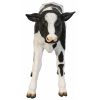 Buttercup Holstein Calf Statue