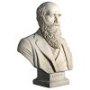 Darwin Bust