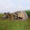 Snoozing Giant Ankylosaurus Dino Statue   Frt-Nr