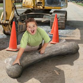 Apatosaurus Femur Fossil Statue