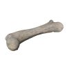 Apatosaurus Femur Fossil Statue