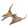 Pteranodon Ingens Statue                 Frt-Quote