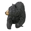 Black Bear Bench