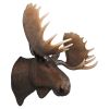 Moose Head Wall Decor