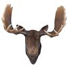 Moose Head Wall Decor