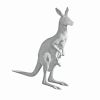 Australian Outback Kangaroo